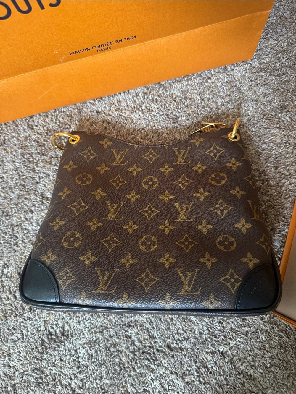 Louis Vuitton can shopping